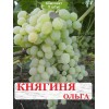 Саженцы винограда Княгиня Ольга (Ранний/Белый) -  5 шт.